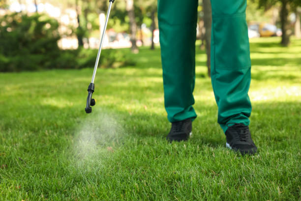 Best Residential Pest Control  in Krugerville, TX