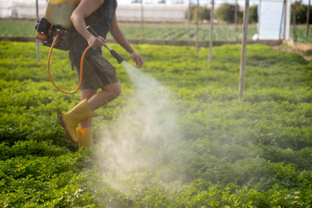 Best Exterminator Services  in Krugerville, TX