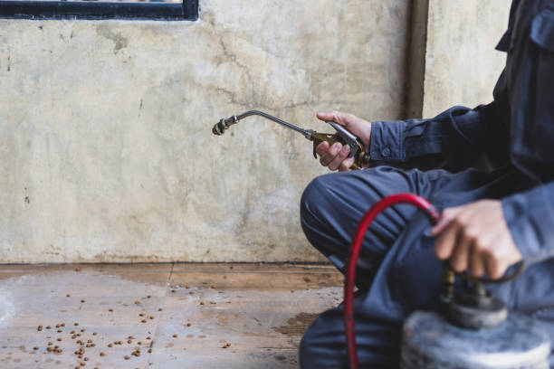 Best Mosquito Control Services  in Krugerville, TX