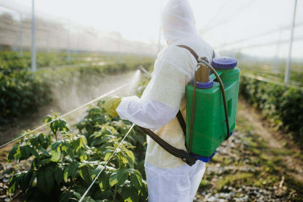 Best Flea Control Services  in Krugerville, TX